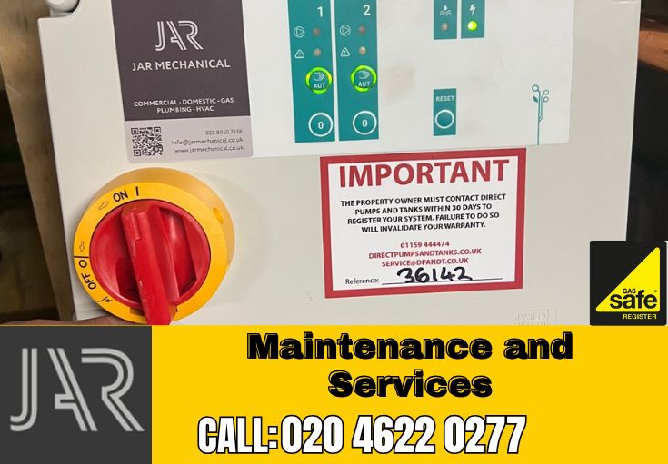 Domestic Maintenance and Services Clapham Junction